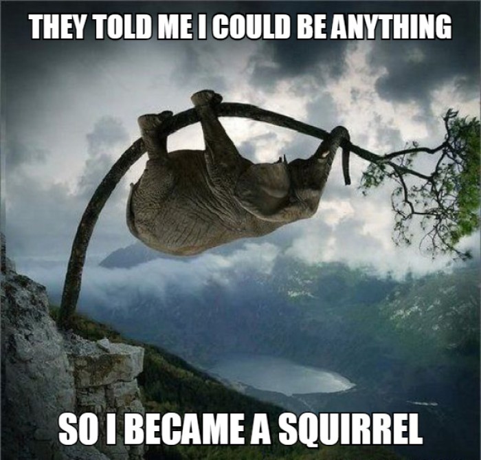 They told me i could be anything....